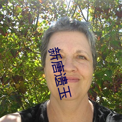 新唐遗(遺)玉(玉)