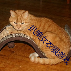 扒美(美)女(女)衣(衣)服游戏