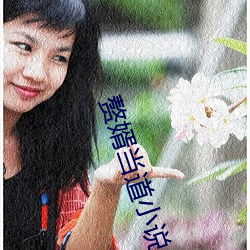 赘(zhuì)婿当道小说