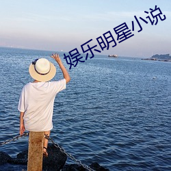 娛樂明星小說