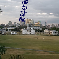 黑科社破解版 （评述）