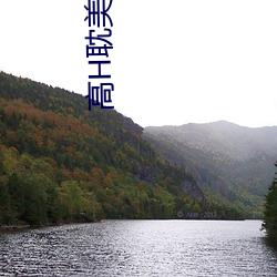 高H耽美文推(推)荐