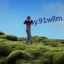 wsy.91wllm.com