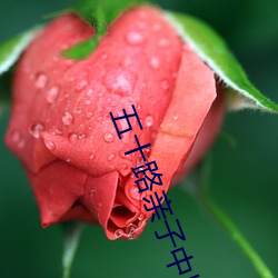 五十路亲子中出中文字幕