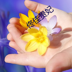 ca88手机客户端(安卓/苹果)CA88会员登录入口