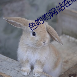 凯时国际·(中国)娱乐官方网站