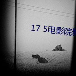 17 5电影院影(yǐng)讯