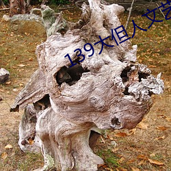 139大但人文艺术(術)
