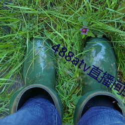 488atv直播间sky