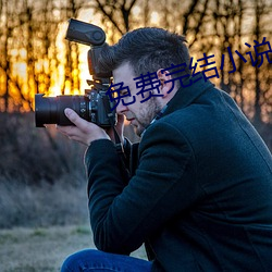 免费完结小说