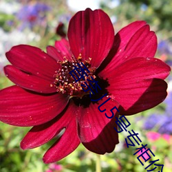 尊龙凯时·(中国)官方网站