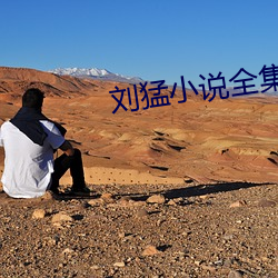 刘(liú)猛小(xiǎo)说全集(jí)