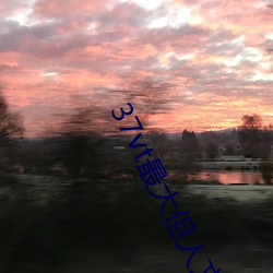 37vt最大但人文艺术 （评戏��