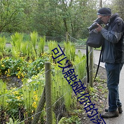 可(kě)以触碰(pèng)你的深(shēn)处(chù)吗免(miǎn)费开