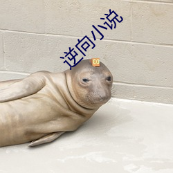 逆向小說