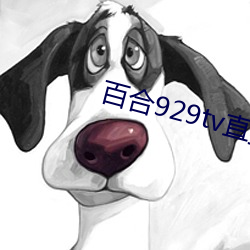 百合929tv直播安装