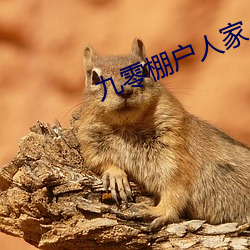 九零棚户人家