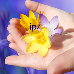 ipz