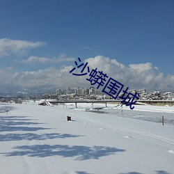 沙蟒围城