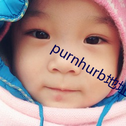 purnhurb地址是几多