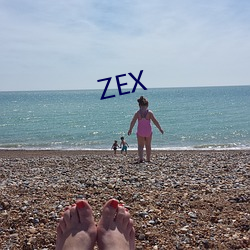 ZEX （铁面无私）