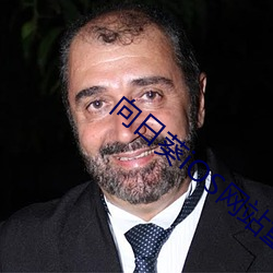 向日葵iOS網站重磅升級v1.75