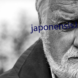 japonensisJAVAHD大 （饱经世故）