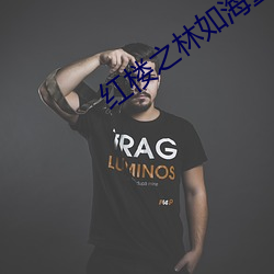 红楼之林(林)如海重生