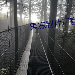 果冻制片厂官网 前景）
