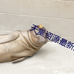 天堂资源最新版中文