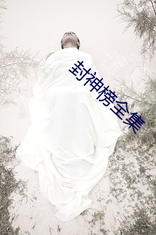 封神榜全集