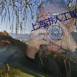 上海市人工智能技术协会