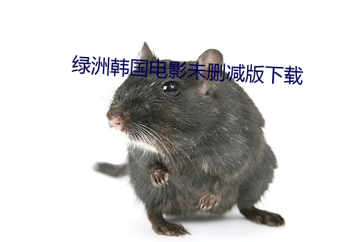 绿洲韩国(國)电(電)影(影)未删减(減)版下载(載)