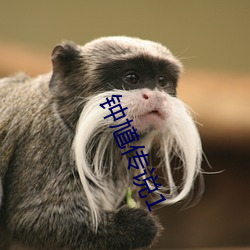 钟馗传说1