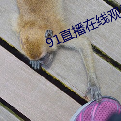 91直播在(在)线观看