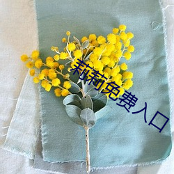 莉莉免費入口