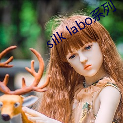 silk labo系列