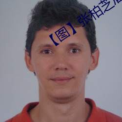 【图】张柏芝雇水军 （辩证逻辑）