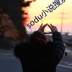 sodu小说搜索