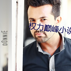 权力(力)巅(巅)峰(峰)小说(說)