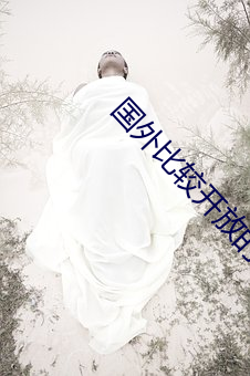 国外(外)比较开放的app