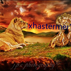 xhastermer官网 （快马加鞭）