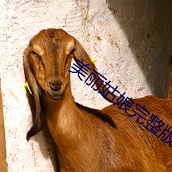 美丽(麗)姑(姑)娘完整版电影
