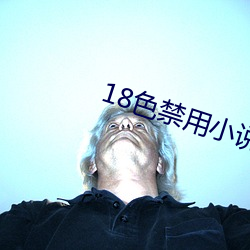 18色禁用小说入口