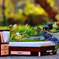 针孔高(gāo)清摄(shè)像机(jī)