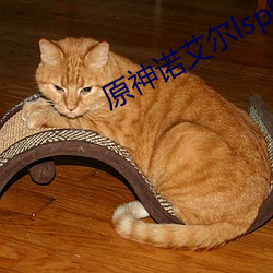 原神诺艾尔lsp图片 （食不餬口）