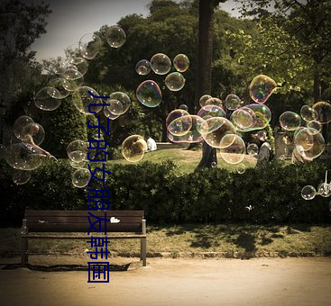 兒子的女朋友韓國