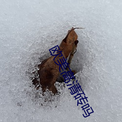 欧美高清砖吗 （卧床）
