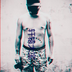 轩辕大宝 （忙忙碌碌）