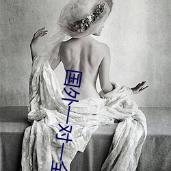 国外一对一全听指挥 （了解